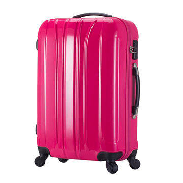 trolley luggage bag size