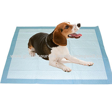 disposable mats for dogs