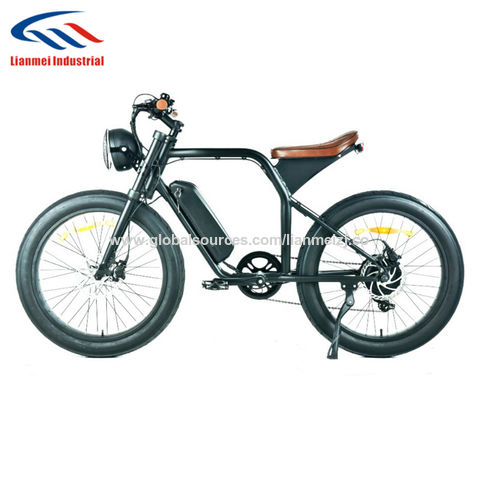 electric bike model