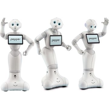 pepper humanoid robot price