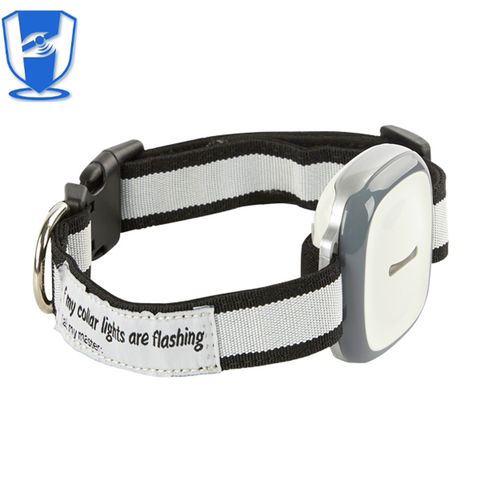 smart collar for cats