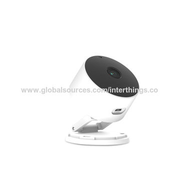 strigidae camera