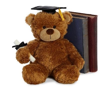 teddy bear graduation gift