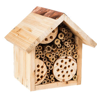China Wooden Bee Habitat From Yantai Manufacturer Yantai Lsl Wood