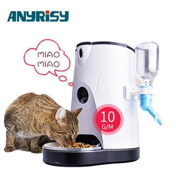 automatic cat feeder app