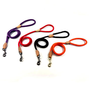 best leash for training