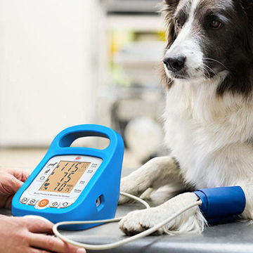 China Small Size Portable Veterinary Animals Use Blood Pressure Monitor ...