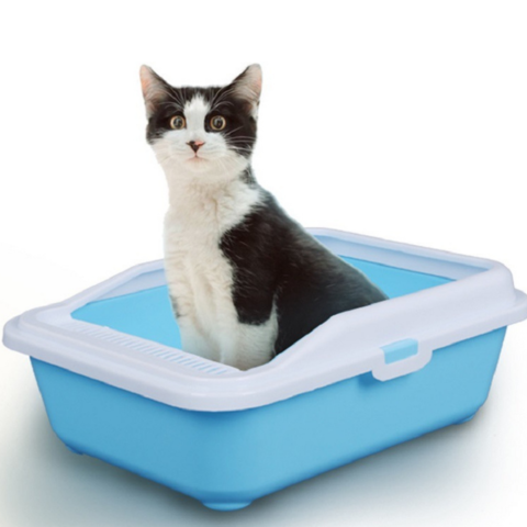 deep litter box