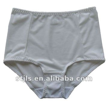 plus size ladies briefs