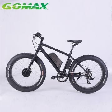 hub motor for fat bike