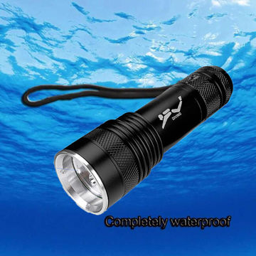 torch flashlight