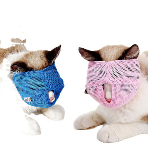 friendly muzzles for dogs