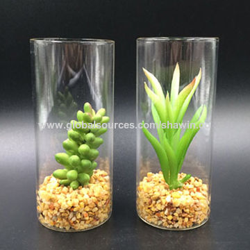 China Decorative Artificial Plants In Glass Jar From Nanjing