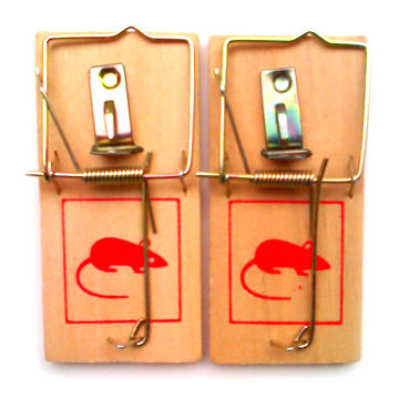 x mouse trap