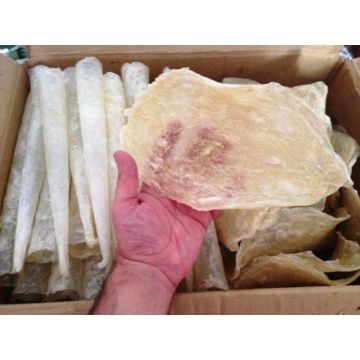 High Quality Dried Fish Maw Global Sources