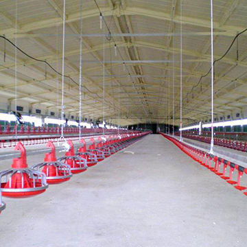 chicken poultry farm for sale