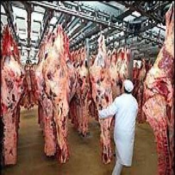 Halal Meat And Chicken We Are Looking For Potential Buyers For Our Best Halal Meat And Chicken Global Sources