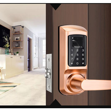 China Smart Electronic Door Lock From Shenzhen Manufacturer