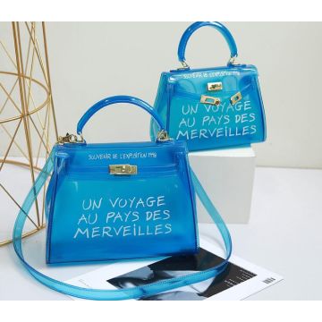 transparent satchel bag