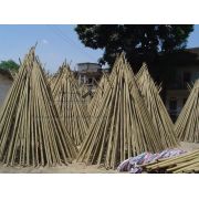 Tonkin Bamboo Pole 1 x 6~10'L Bundle