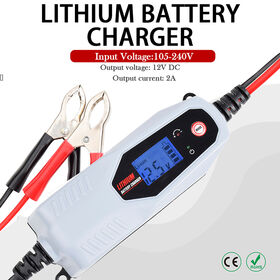 https://p.globalsources.com/IMAGES/PDT/S1118873551/Smart-Car-LiFePO4-Battery-Charger.jpg