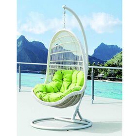 Big lots store swing chair