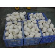 China BQF Frozen Garlic Puree Cube Manufacturer and Supplier