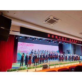 HD LED Video Wall P2.976 LED Indoor Display Panel 500*500 500*1000mm die casting aluminum cabinet 3840Hz high refresh rate