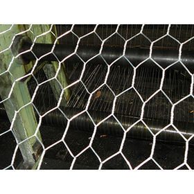 Latest Chicken Wire Mesh price in India