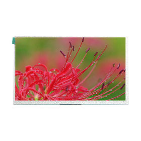 custom lcd display india pricelist