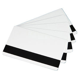 Blank Printing Business Magnetic Stripe Gift Card Custom