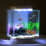 wholesale fish tanks suppliers