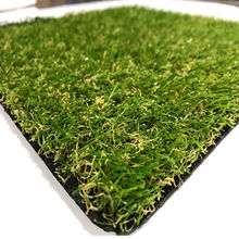 China Indoor Grass Seed Suppliers Indoor Grass Seed Manufacturers