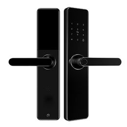 AL10B Lever Lock with Touch Screen and Bluetooth Smart Door Lock Digital Lock with 2 Mifare Cards