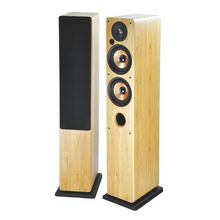 China Active Floor Stand Speaker With Bluetooth Function From
