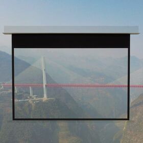 China Electric Motorized Screen From Wuxi Wholesaler Wuxi Lexin