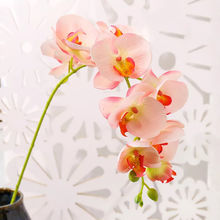 China Artificial Butterfly Orchid From Kunming Wholesaler Global