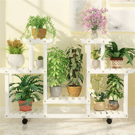 underwater plants Fully Submerged Aquarium Plants, Freshwater Live Aquarium Plants
