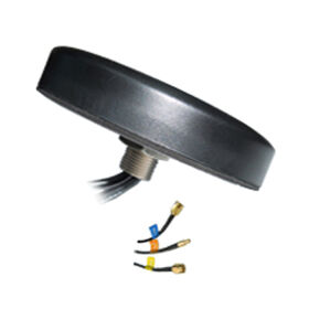 Antennes combinées GPS WiFi LTE 3 en 1 avec montage à vis