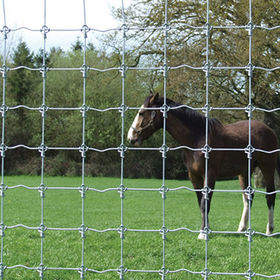 5 X Field Fence/ Hinge Joint Rural fence /Dog Fence /Ring Lock Fence ...