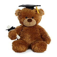 graduation teddy bear walmart