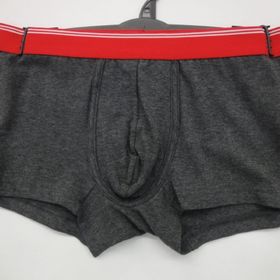 Wholesale Mens Hanes Briefs Underwear 1 Dozen