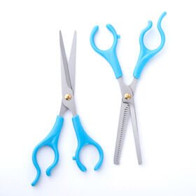 Buy Wholesale China Professional Beauty Salon Hairdressing Stainless Steel  Plastic Handle Barber Hair Cutting Scissors & Barber Scissors at USD 0.47