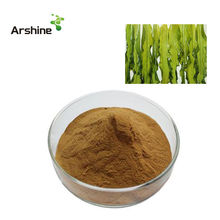 seaweed extract suppliers