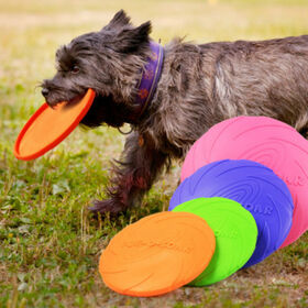 bulk frisbees for dogs