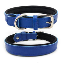 bulk buy dog collars
