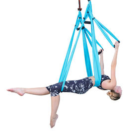 Buy Wholesale China Aerial Yoga Swing Set Yoga Sling Inversion Tool For  Professional And Beginners 2 Adjustable Daisy & Yoga Swing at USD 14