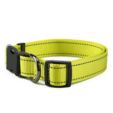bulk buy dog collars