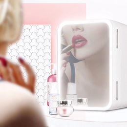 Mini Réfrigérateur de Maquillage Portable 10L Miroir LED - Autres indu 