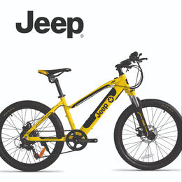 Electric bike - Asia Kingston (HK) Limited